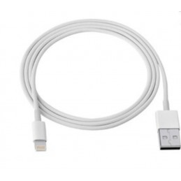 Apple - Câble USB Type-C à Lightning (2m, Blanc) - Original, Blister